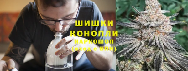 ПСИЛОЦИБИНОВЫЕ ГРИБЫ Слюдянка