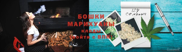 ПСИЛОЦИБИНОВЫЕ ГРИБЫ Слюдянка