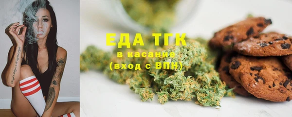 ПСИЛОЦИБИНОВЫЕ ГРИБЫ Слюдянка