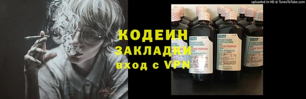 ПСИЛОЦИБИНОВЫЕ ГРИБЫ Слюдянка