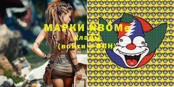 ПСИЛОЦИБИНОВЫЕ ГРИБЫ Слюдянка