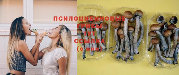 ешки Снежинск